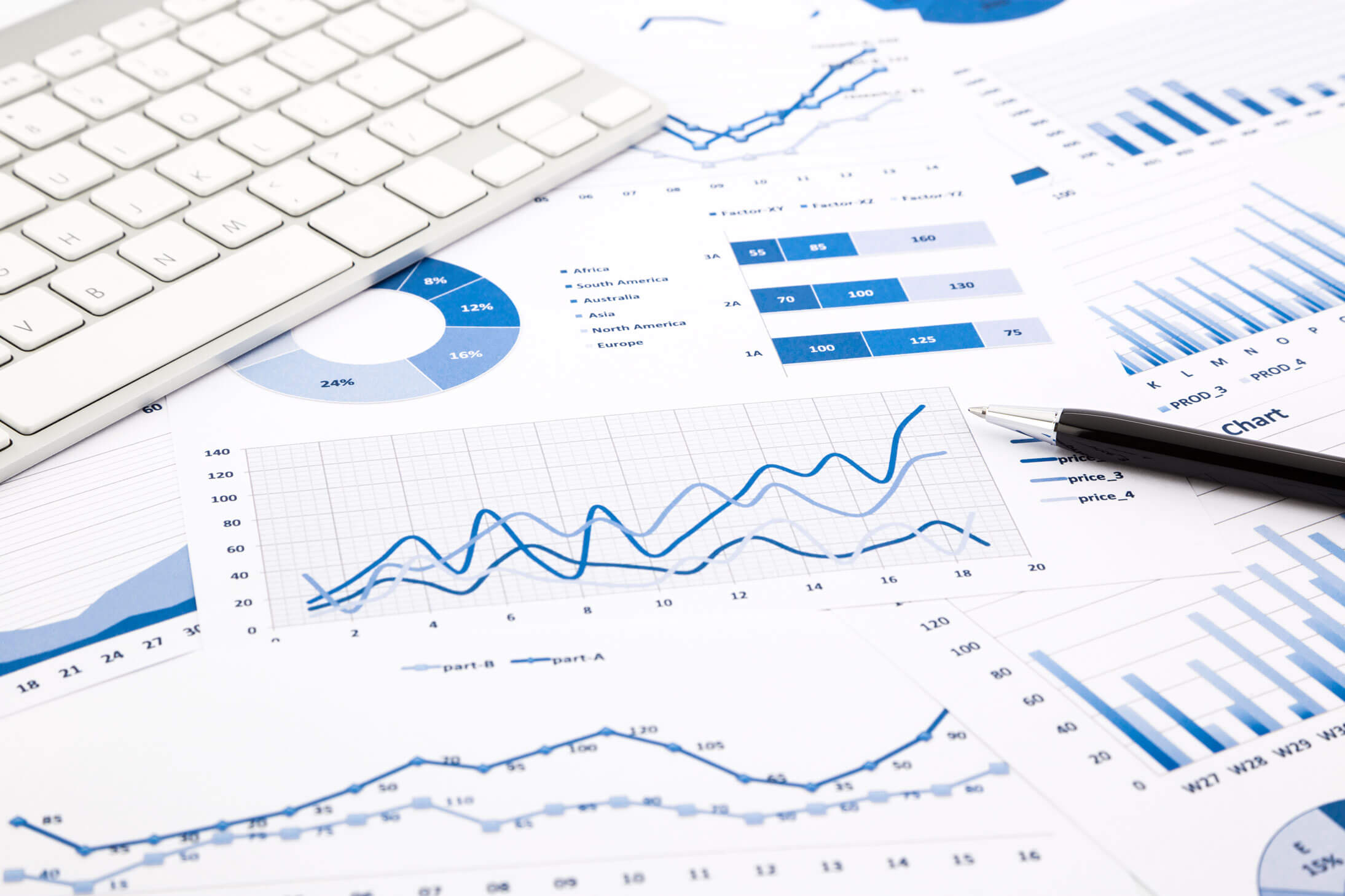 Budget report - i4T Global